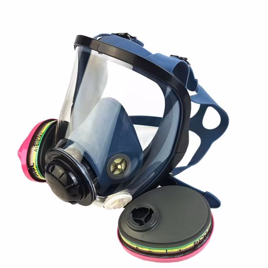 Nuovi tipi Maschera antigas di sicurezza a doppio filtro Maschera antigas portatile a pieno facciale imballata con borsa in nylon